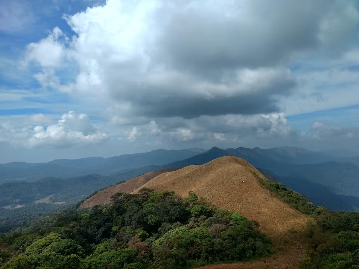 Travila
