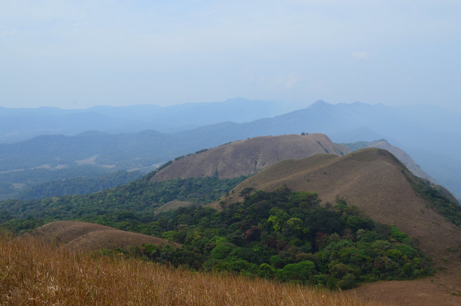 Travila