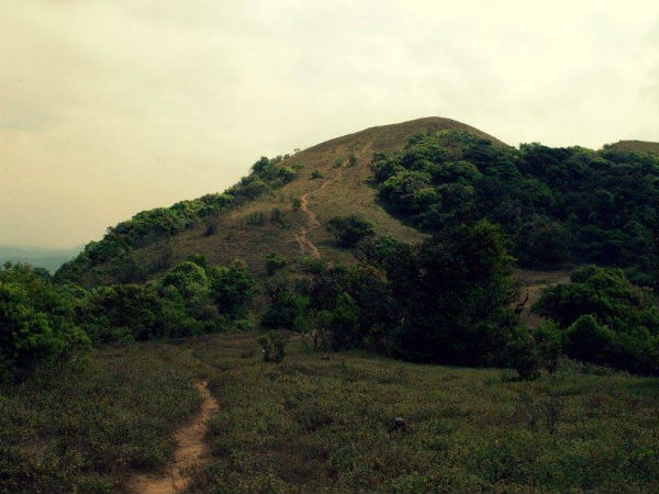 Travila