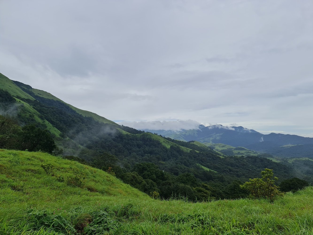Travila